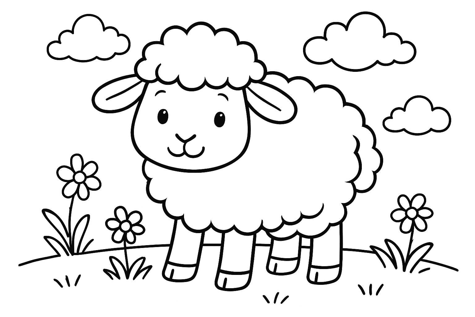 Schaap