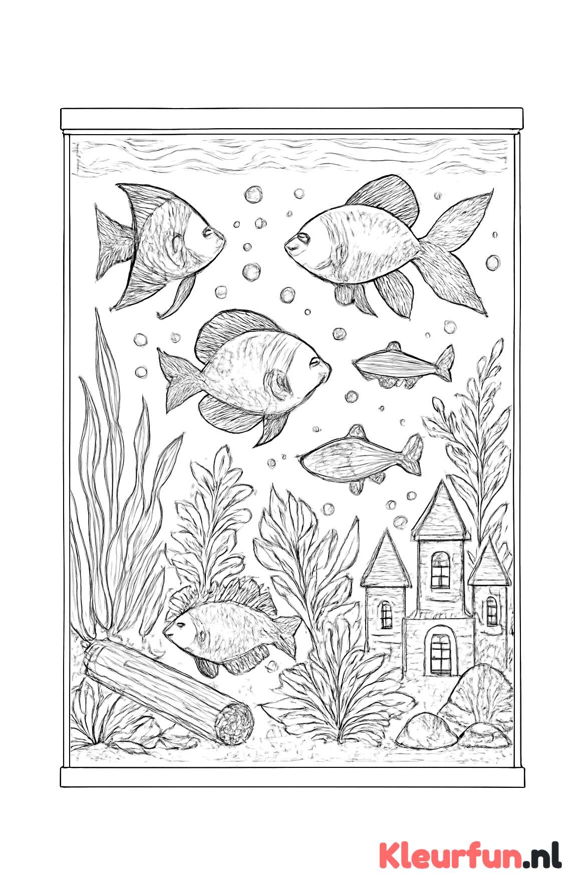Aquarium met verschillende vissoorten