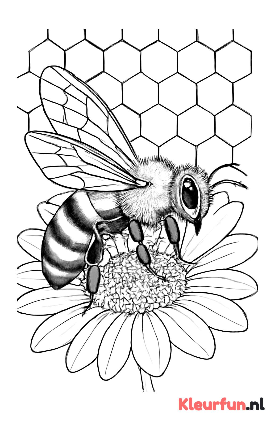 Gedetailleerde bij op bloem