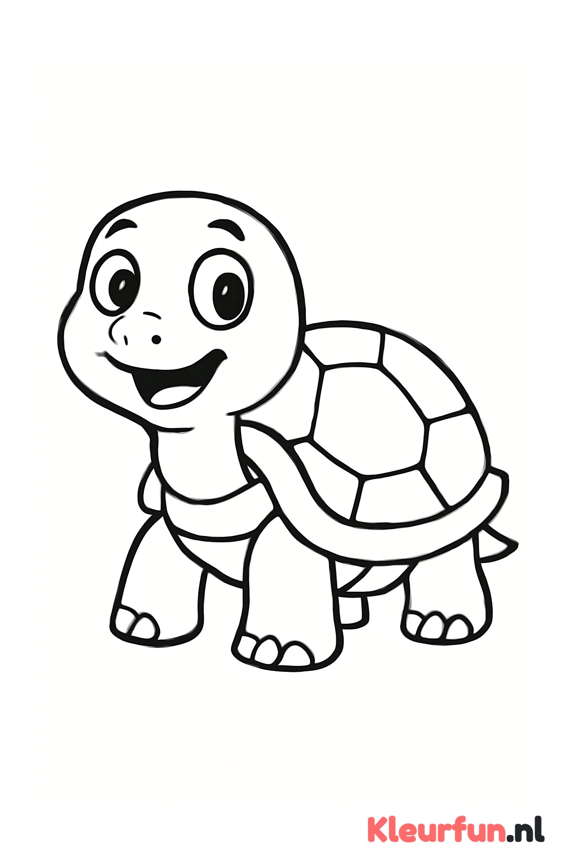 Blije schildpad