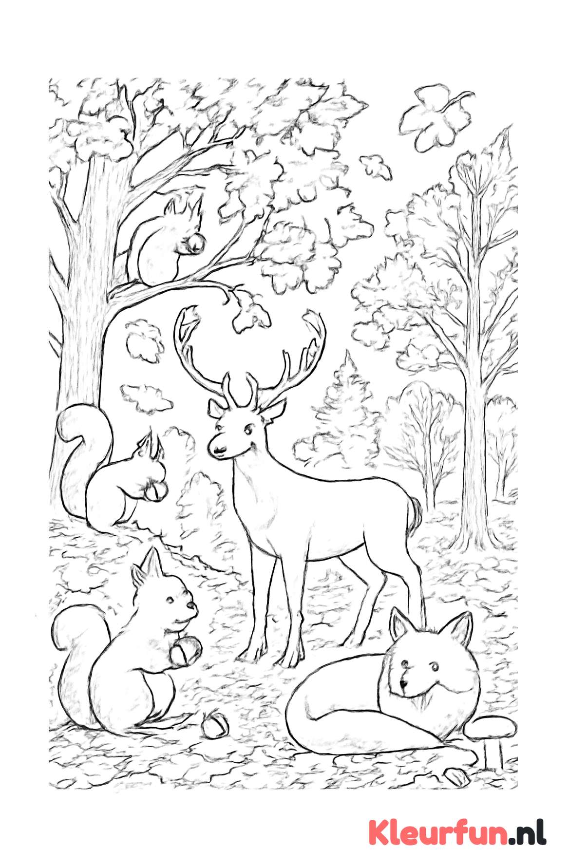 Bosdieren in de herfst met eekhoorns en vos