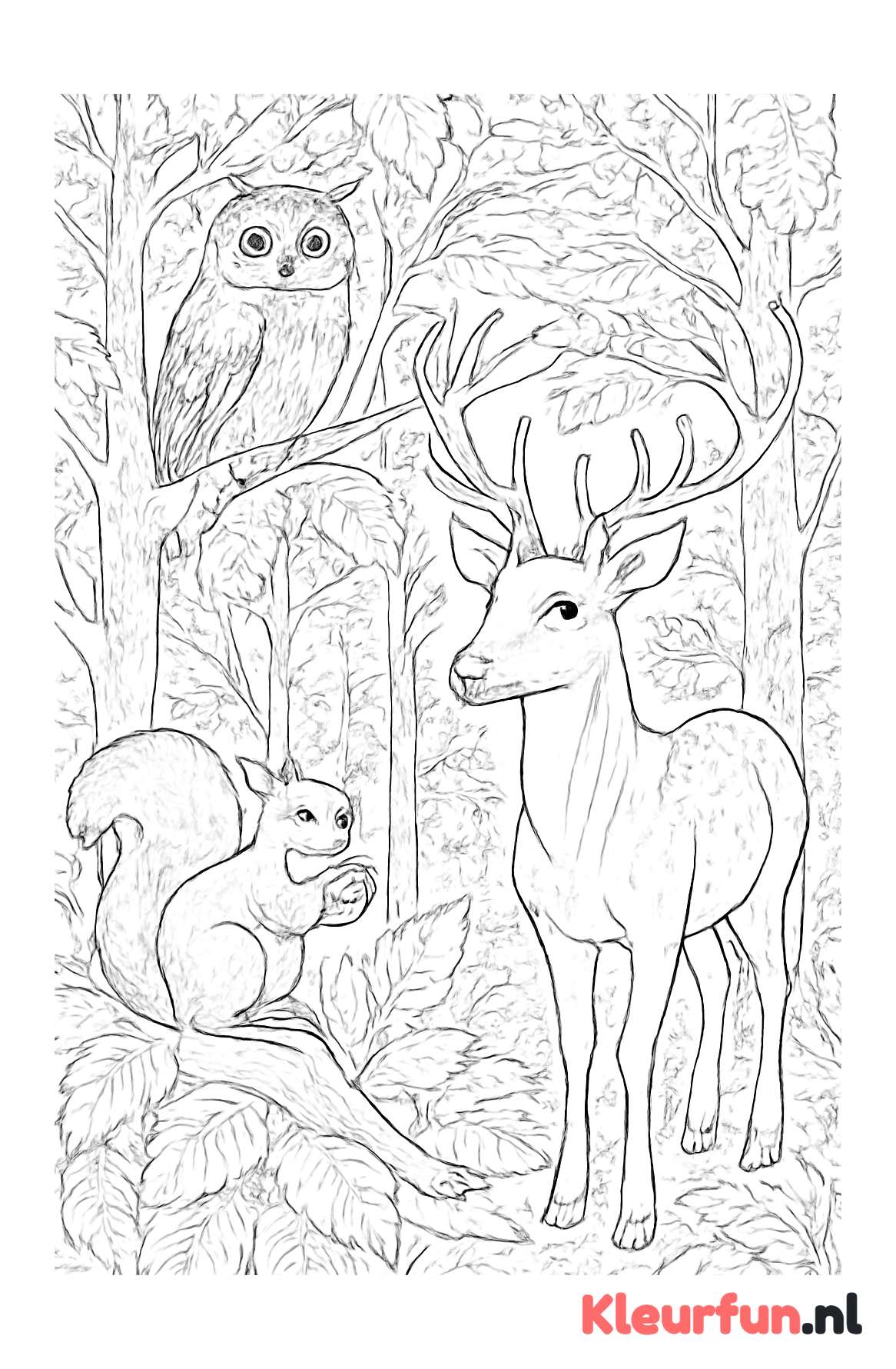 Bosdieren - Verschillende dieren in het bos