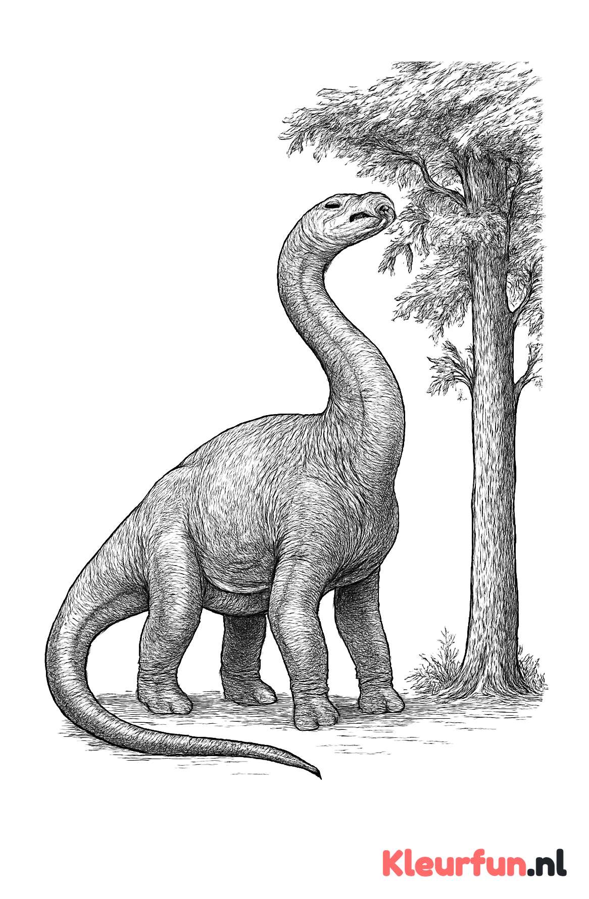 Brontosaurus Eet