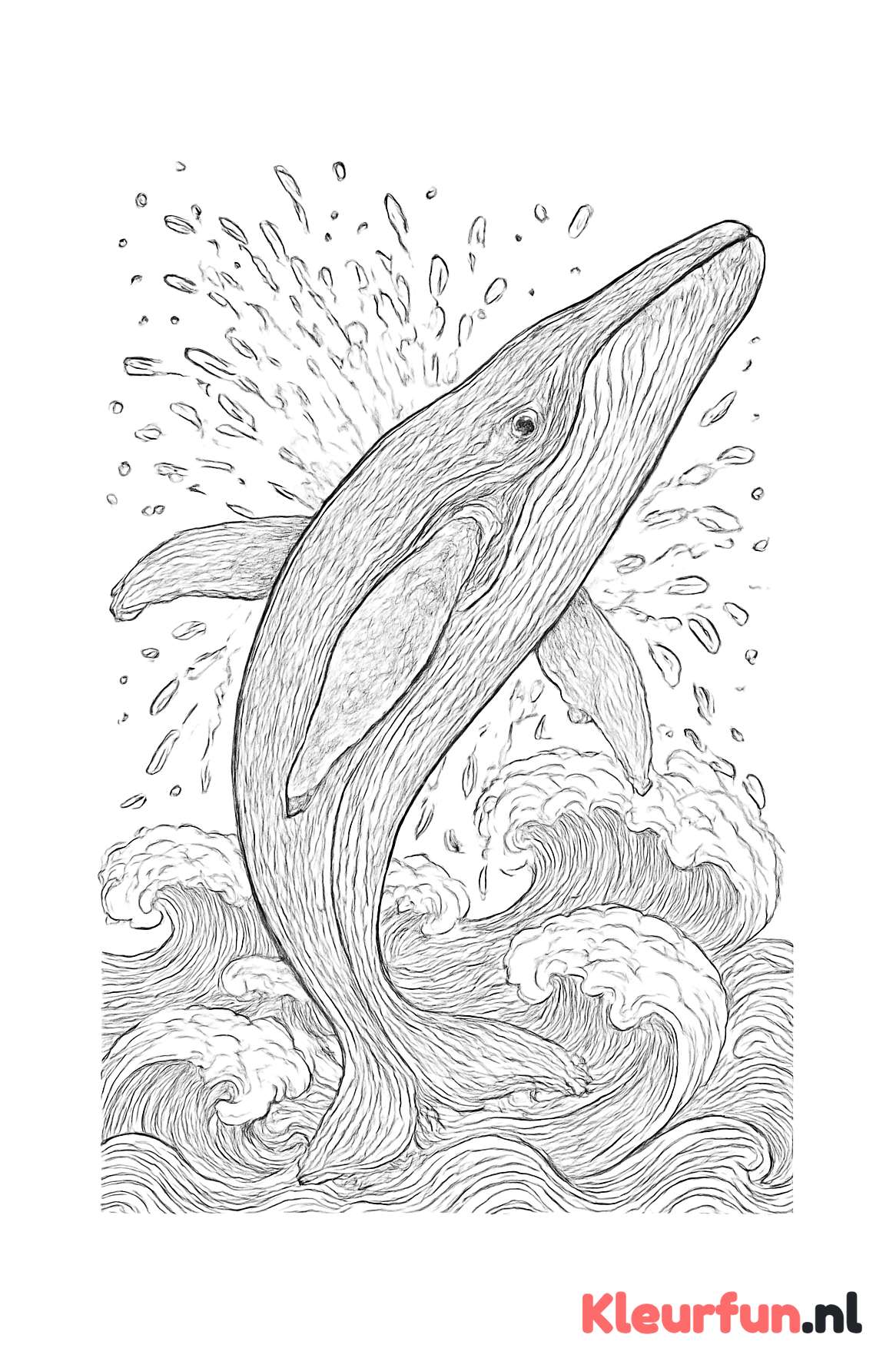 Bultrugwalvis met spatwater en golven
