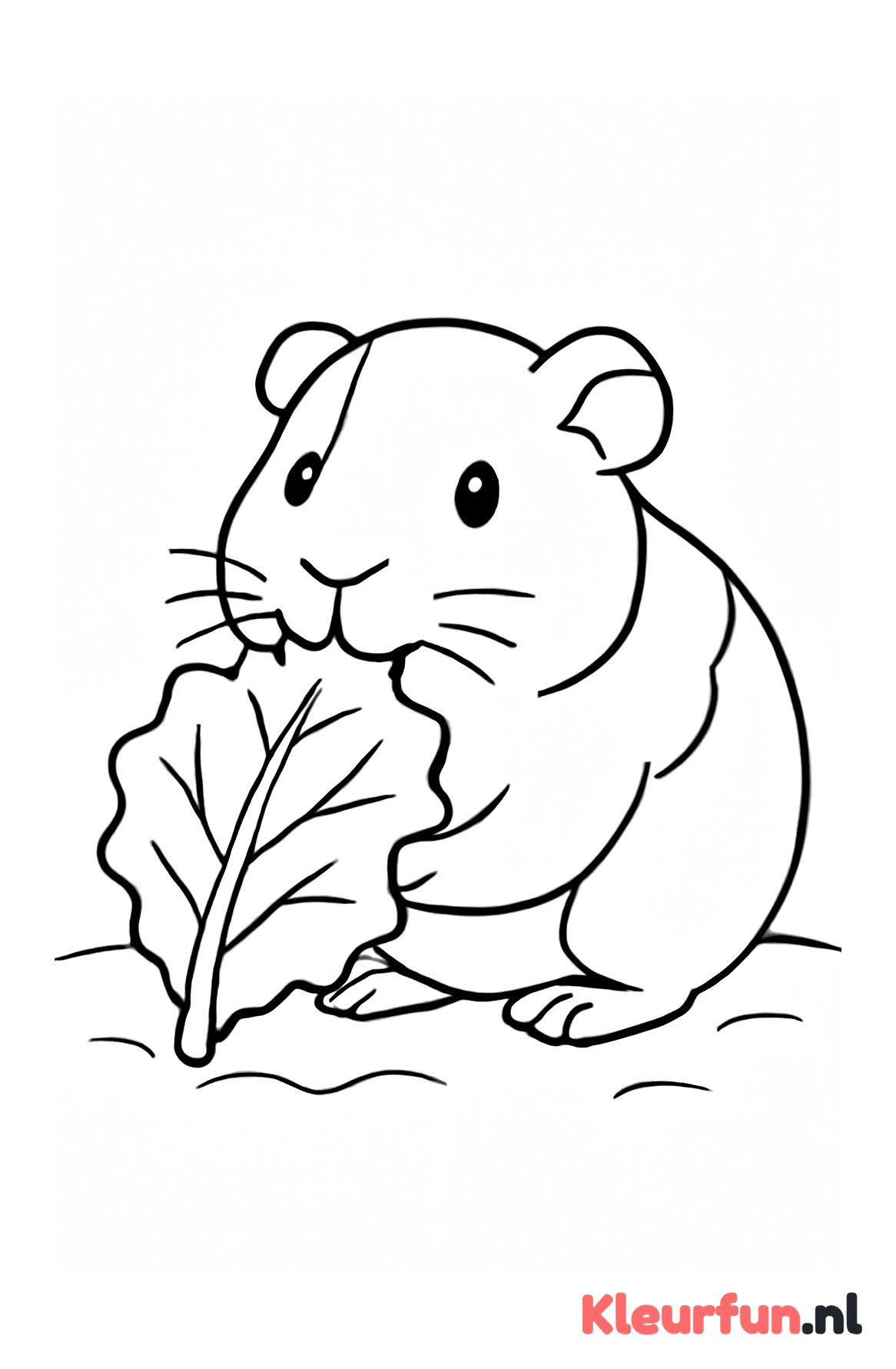 Cavia eet van blad sla