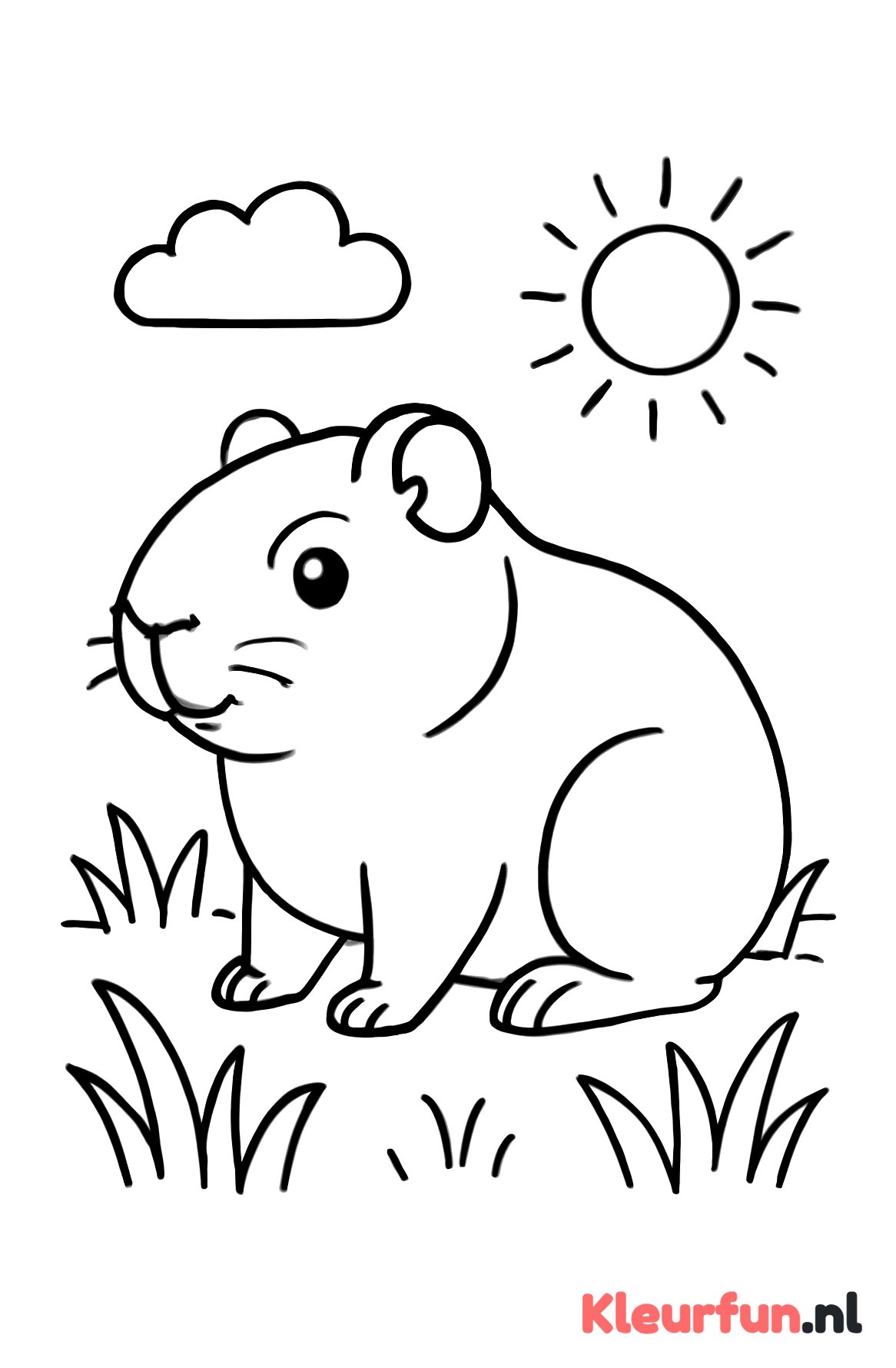 Cavia in het gras