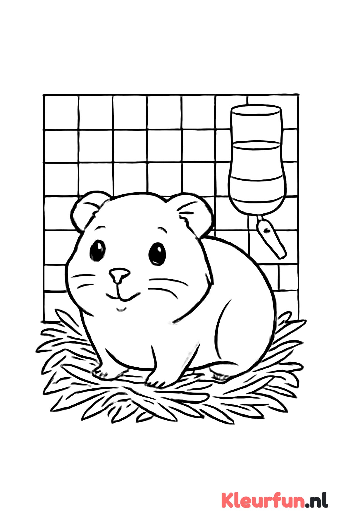 Cavia in haar hok