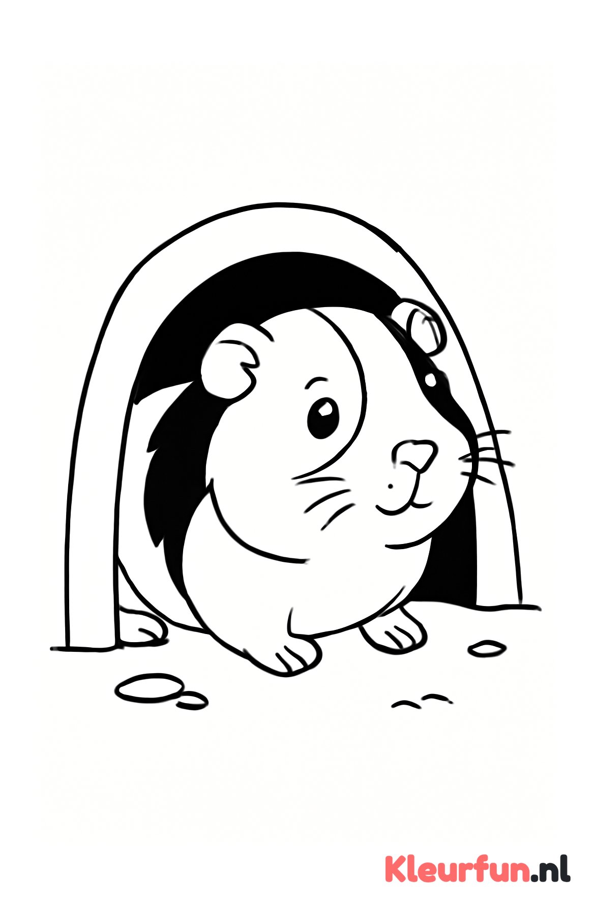 Cavia die uit een holletje kijkt