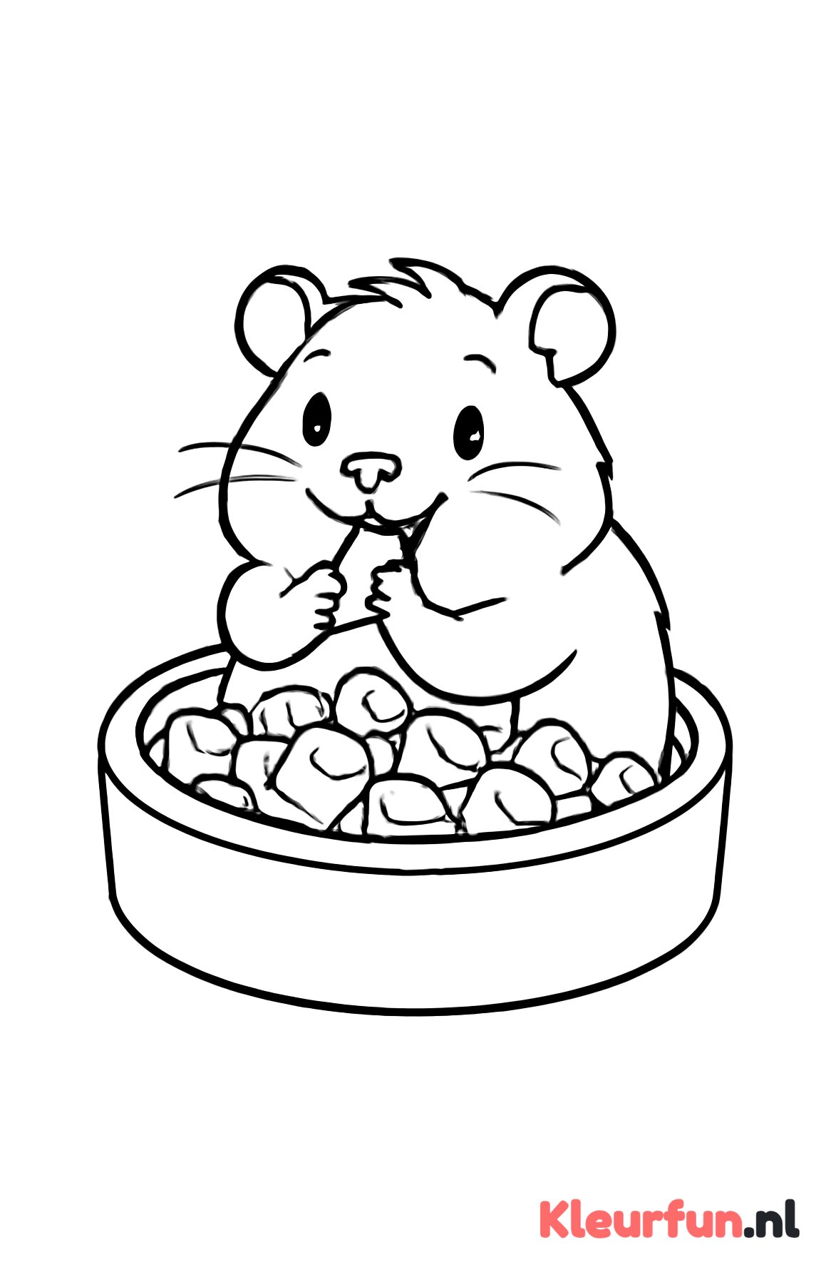 Cavia in de voerbak
