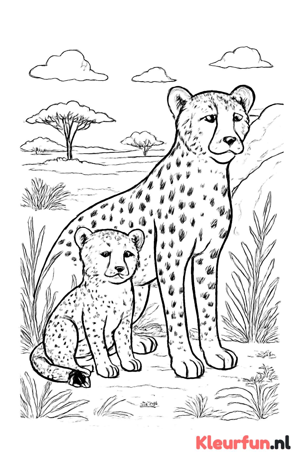 Cheetah moeder en welp