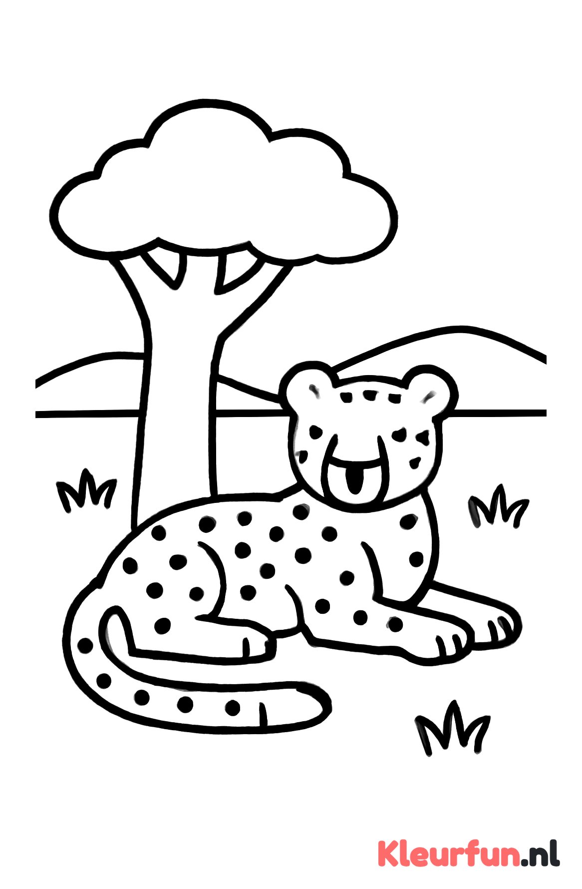 Cheetah onder de boom