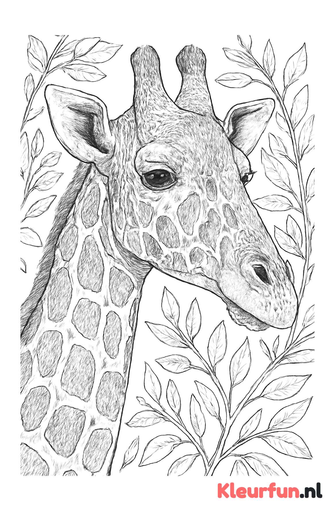 Close-up van een giraffe met ingewikkelde patronen