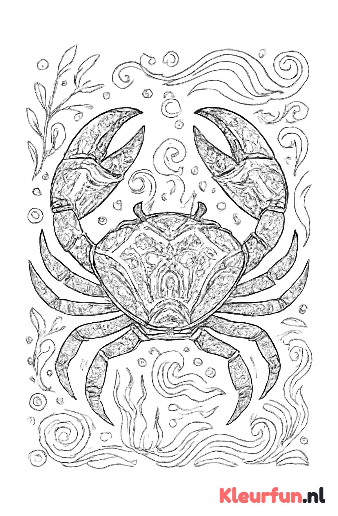 Close-up krab detail