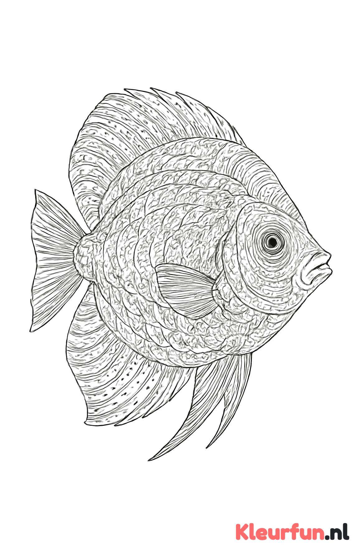 Close-up van een tropische vis