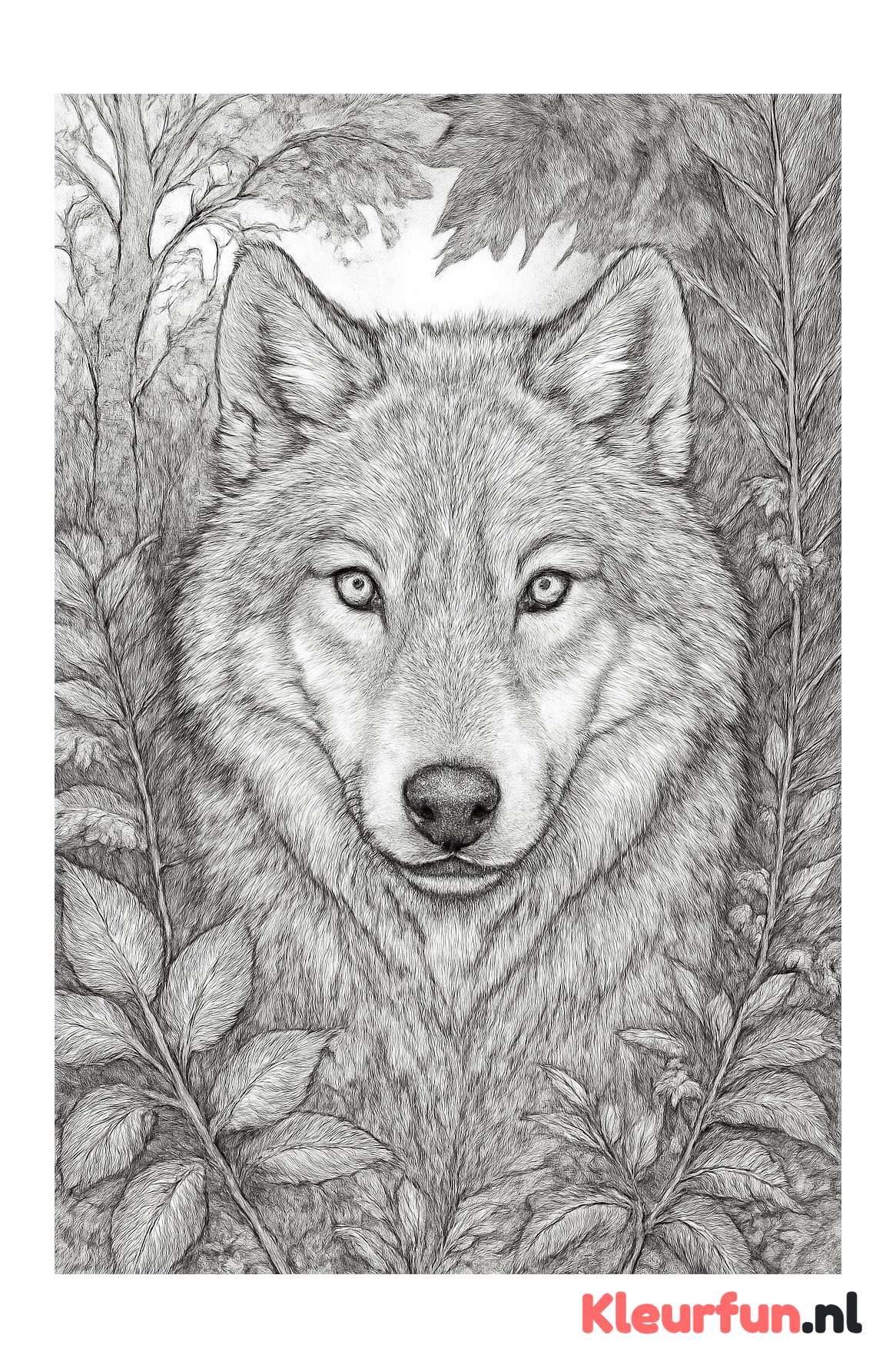 Close-up van een wolf in het bos