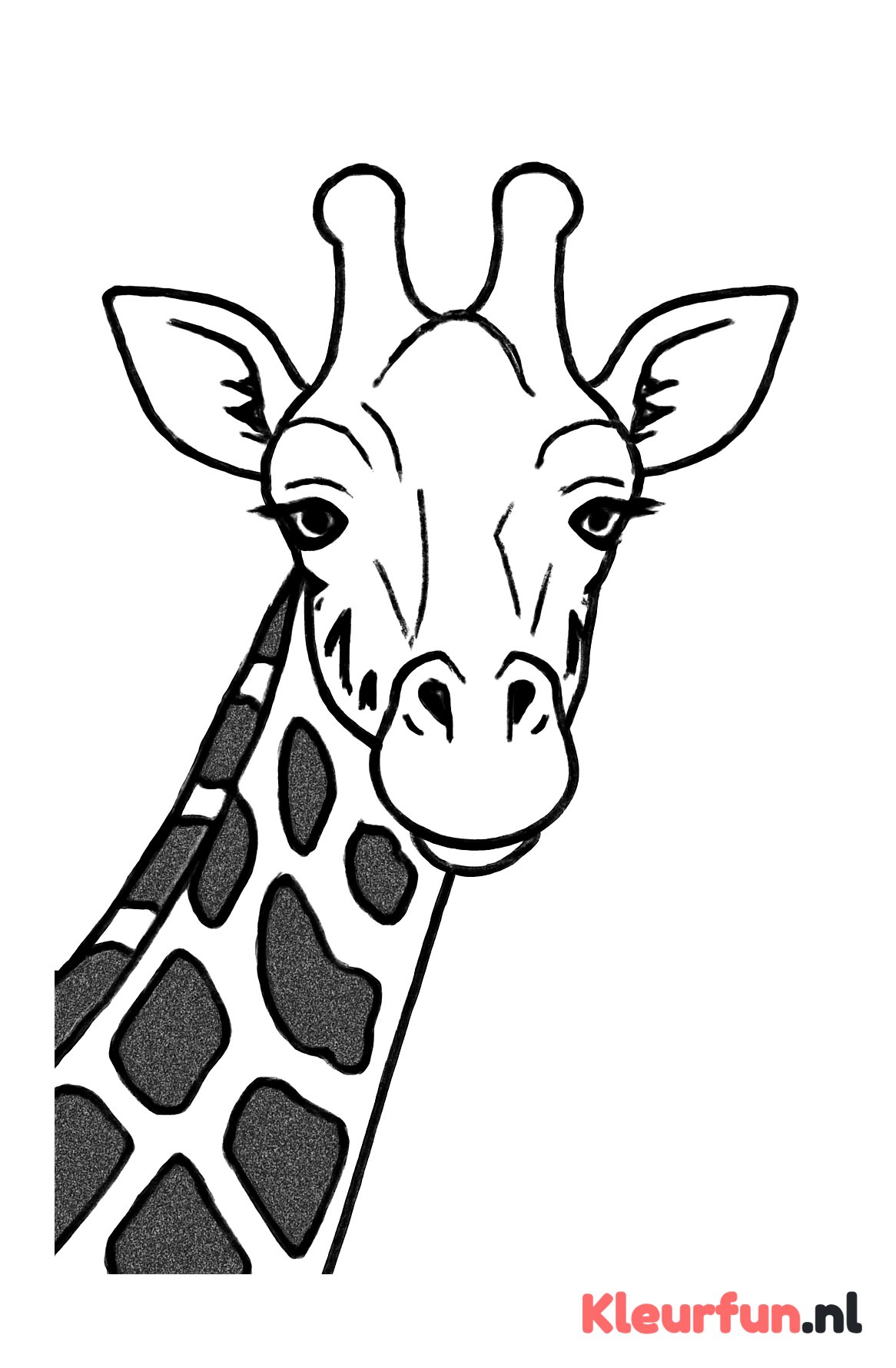 Close-up van giraffe hoofd