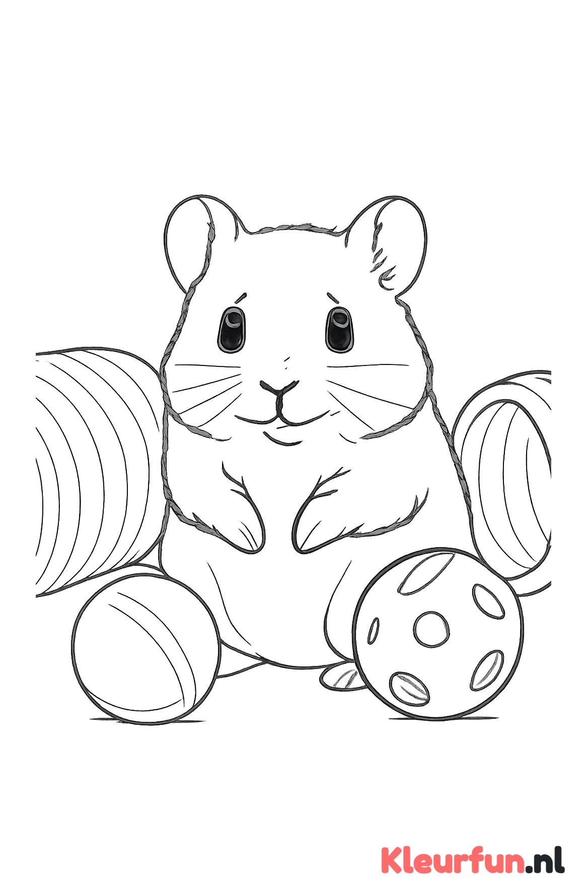 Nieuwsgierige hamster met speeltjes