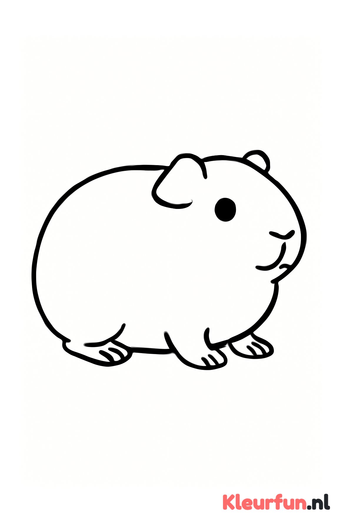 Dikke cavia lijnen