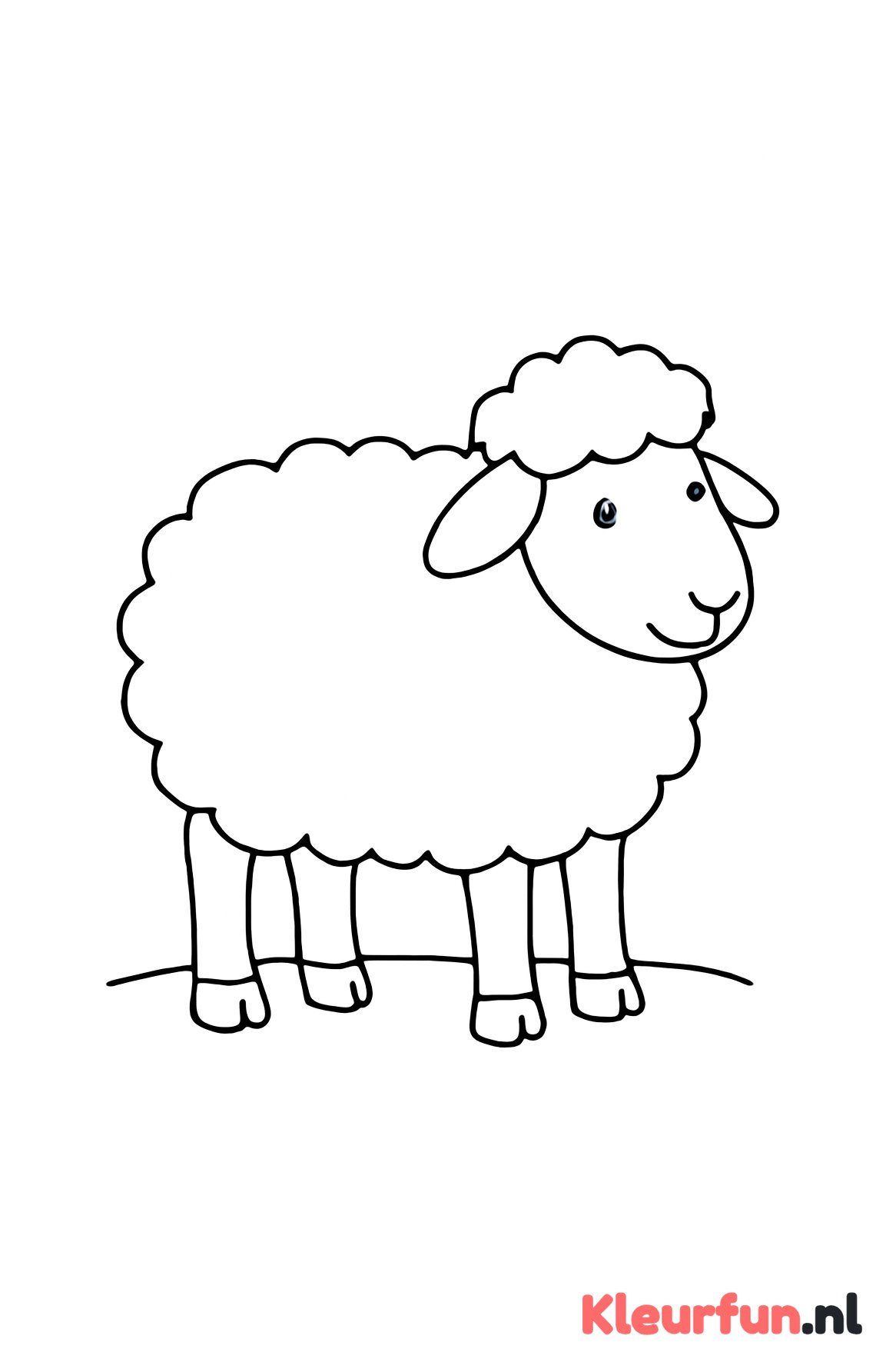 Schaap met dikke wol