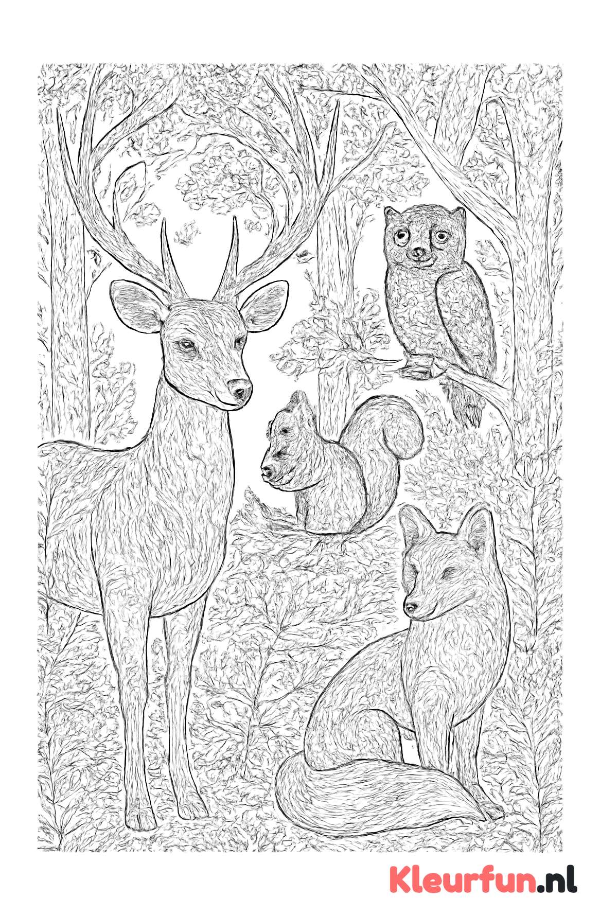 Diverse bosdieren samen in het bos
