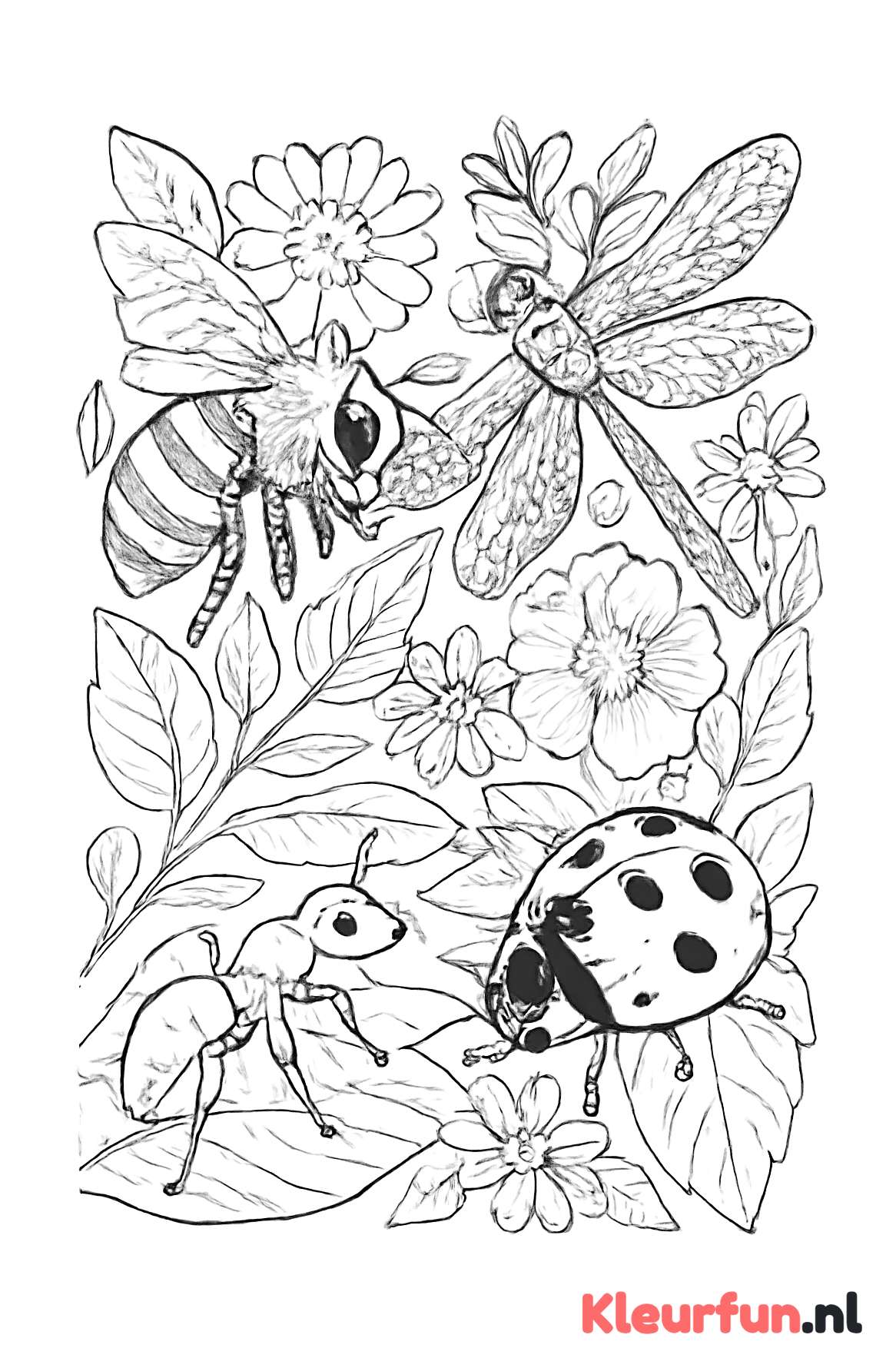 Diverse insecten in detail