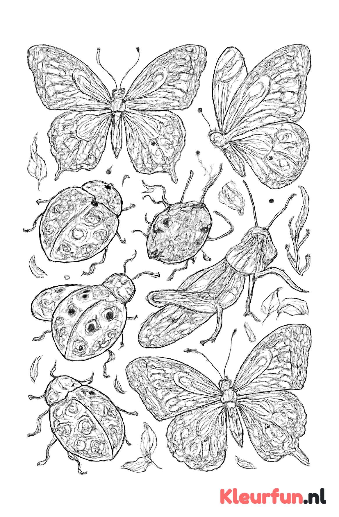 Diverse insecten met complexe details