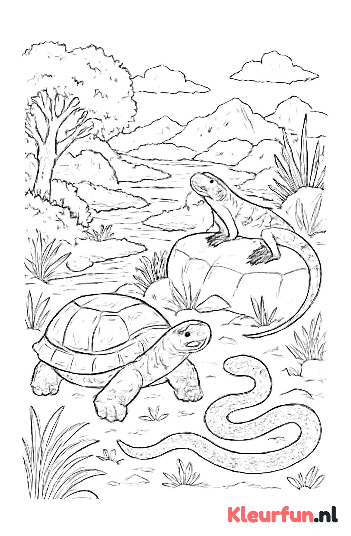 Diverse reptielen in natuur