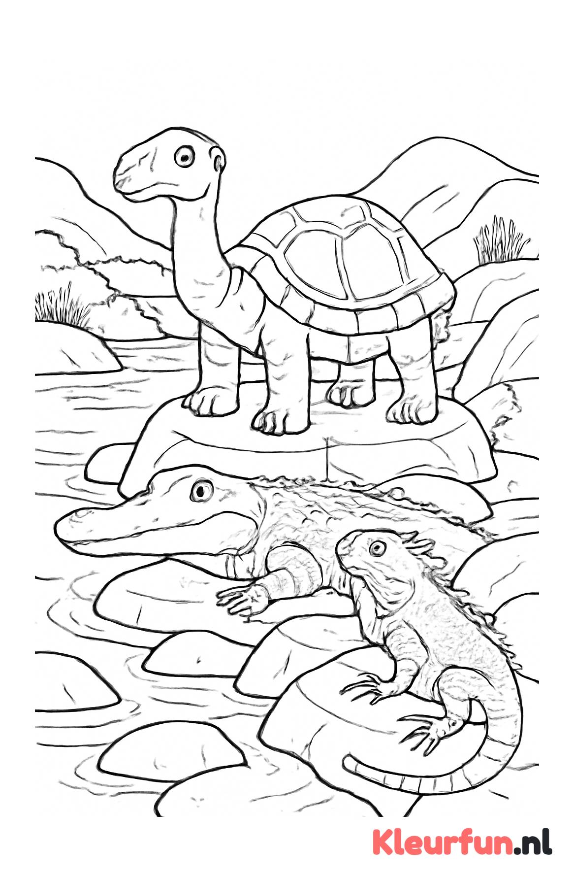 Diverse reptielen aan de rivier