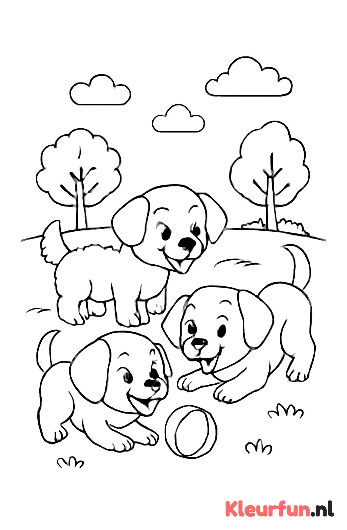 Drie speelse puppy’s