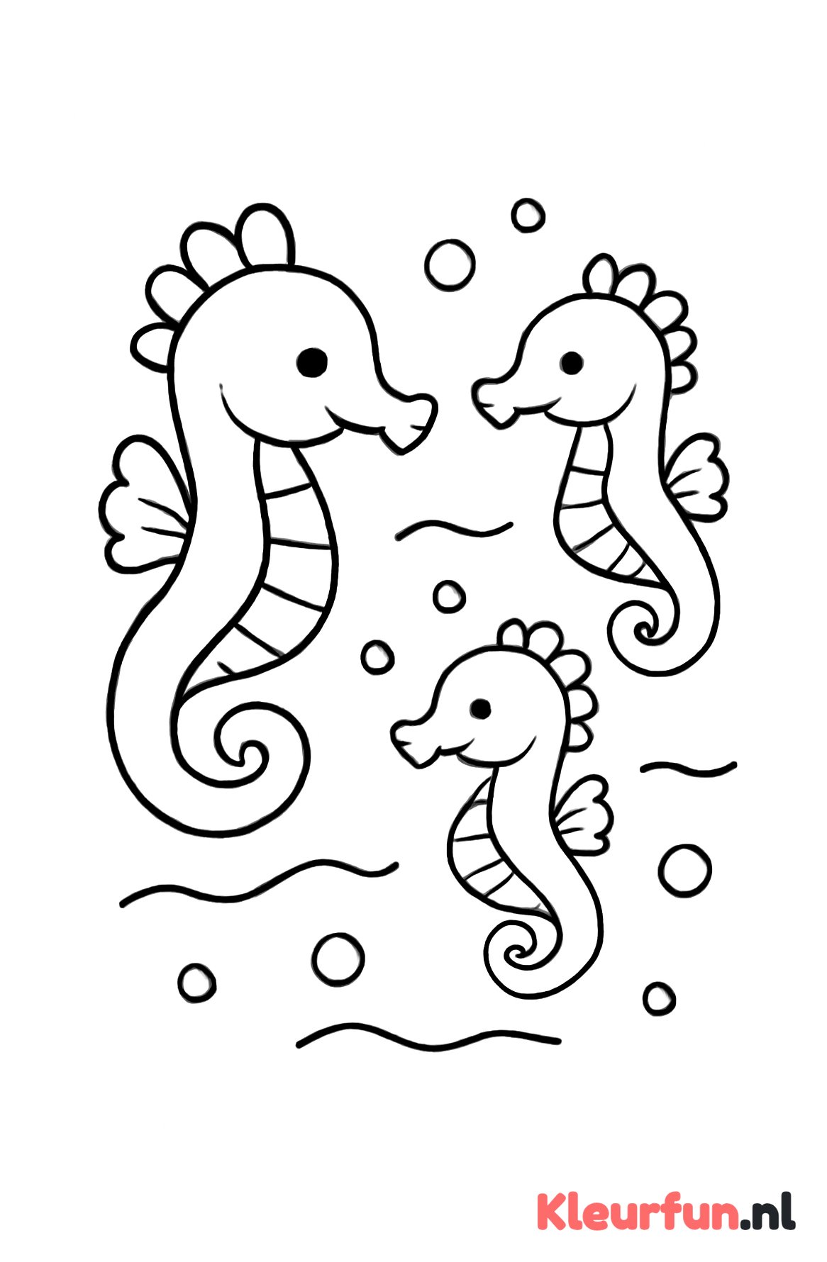 Drie speelse zeepaardjes