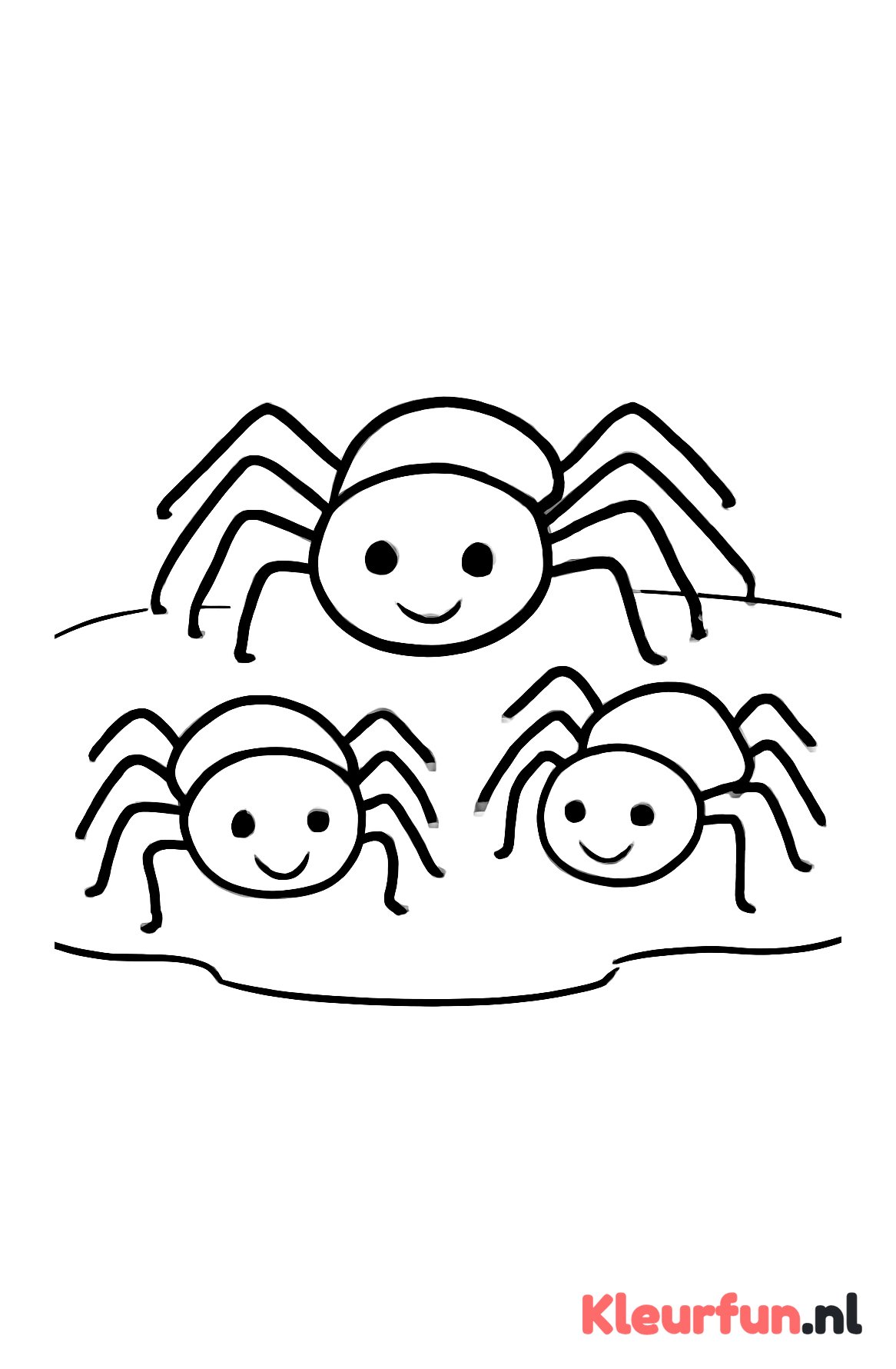 Drie verschillende spinnen