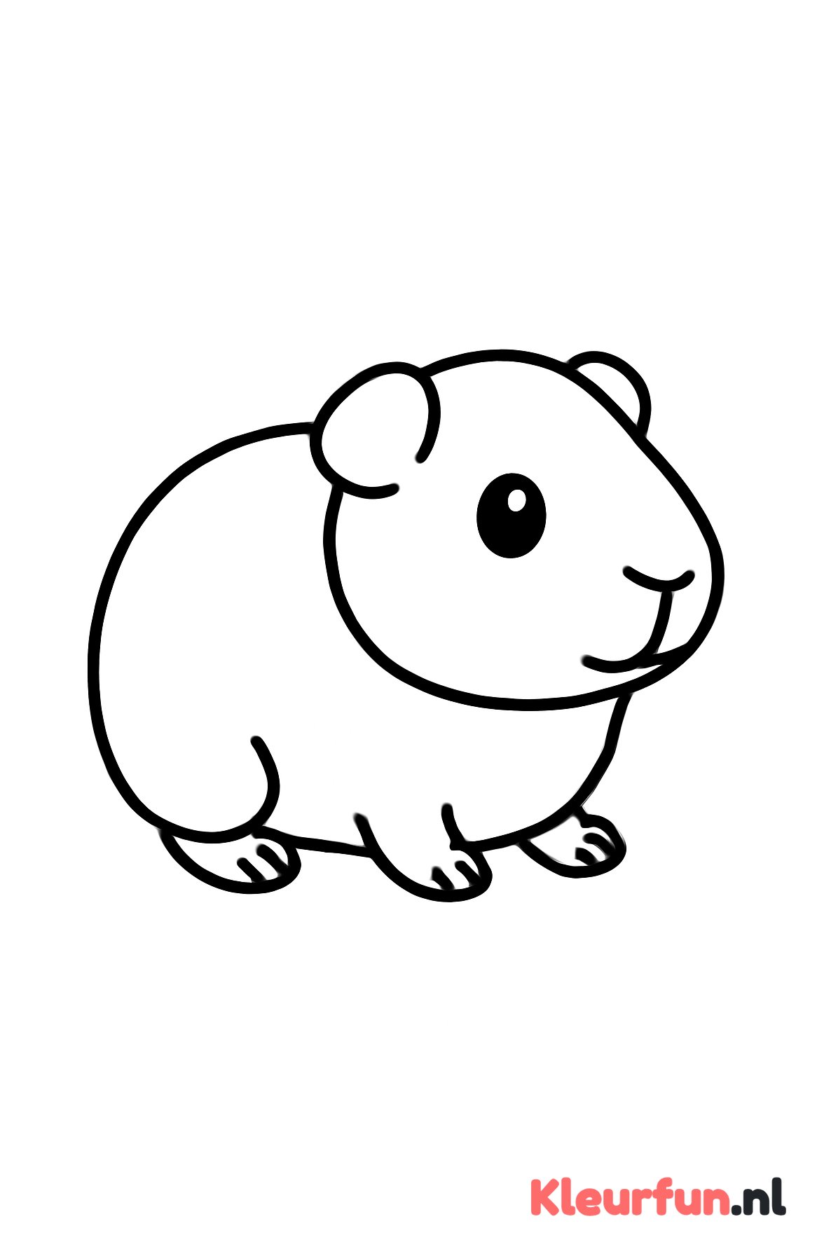 Eenvoudige cavia