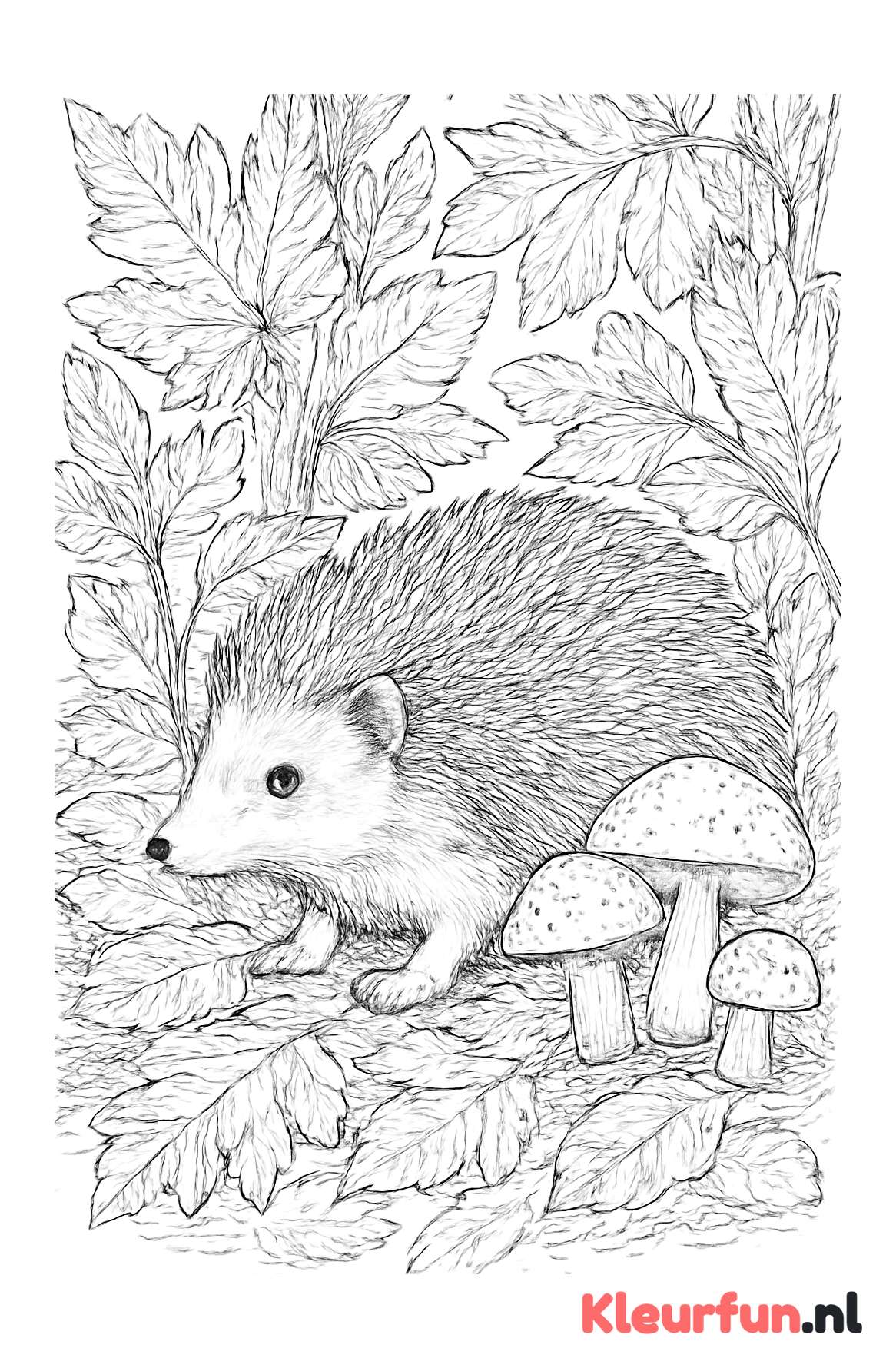 Egel in het herfstbos