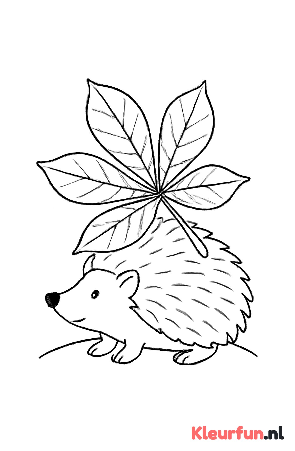 Egel onder blad