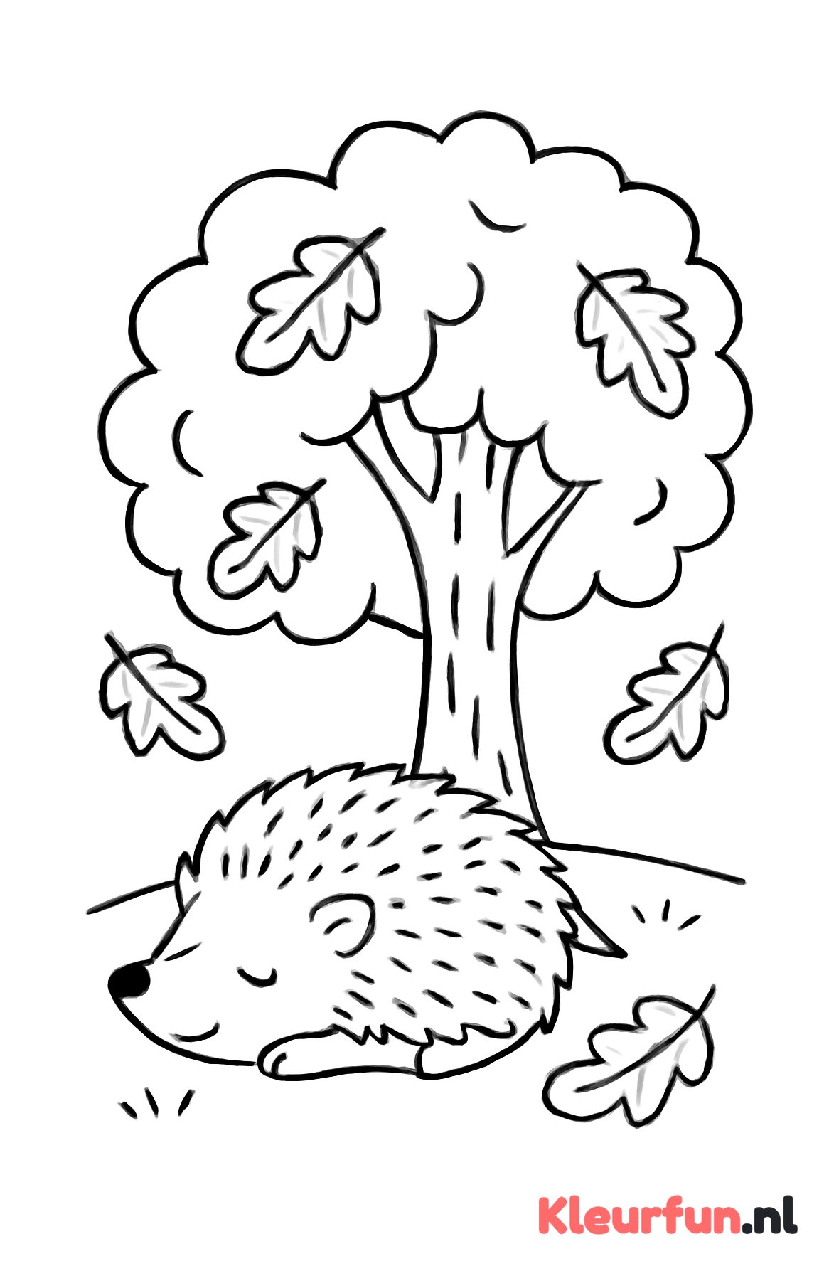 Egel onder de eikenboom