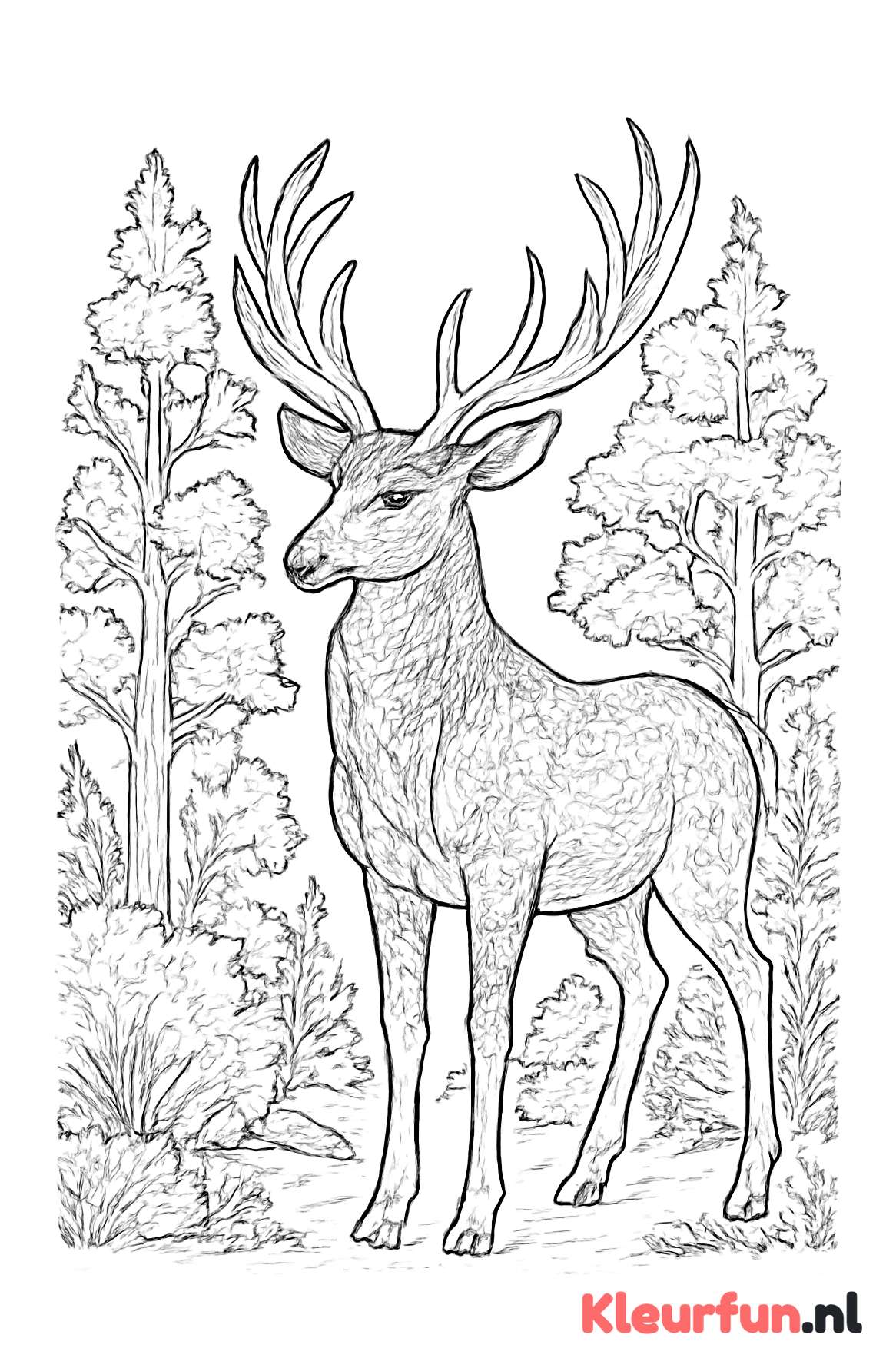 Elegant hert in het bos