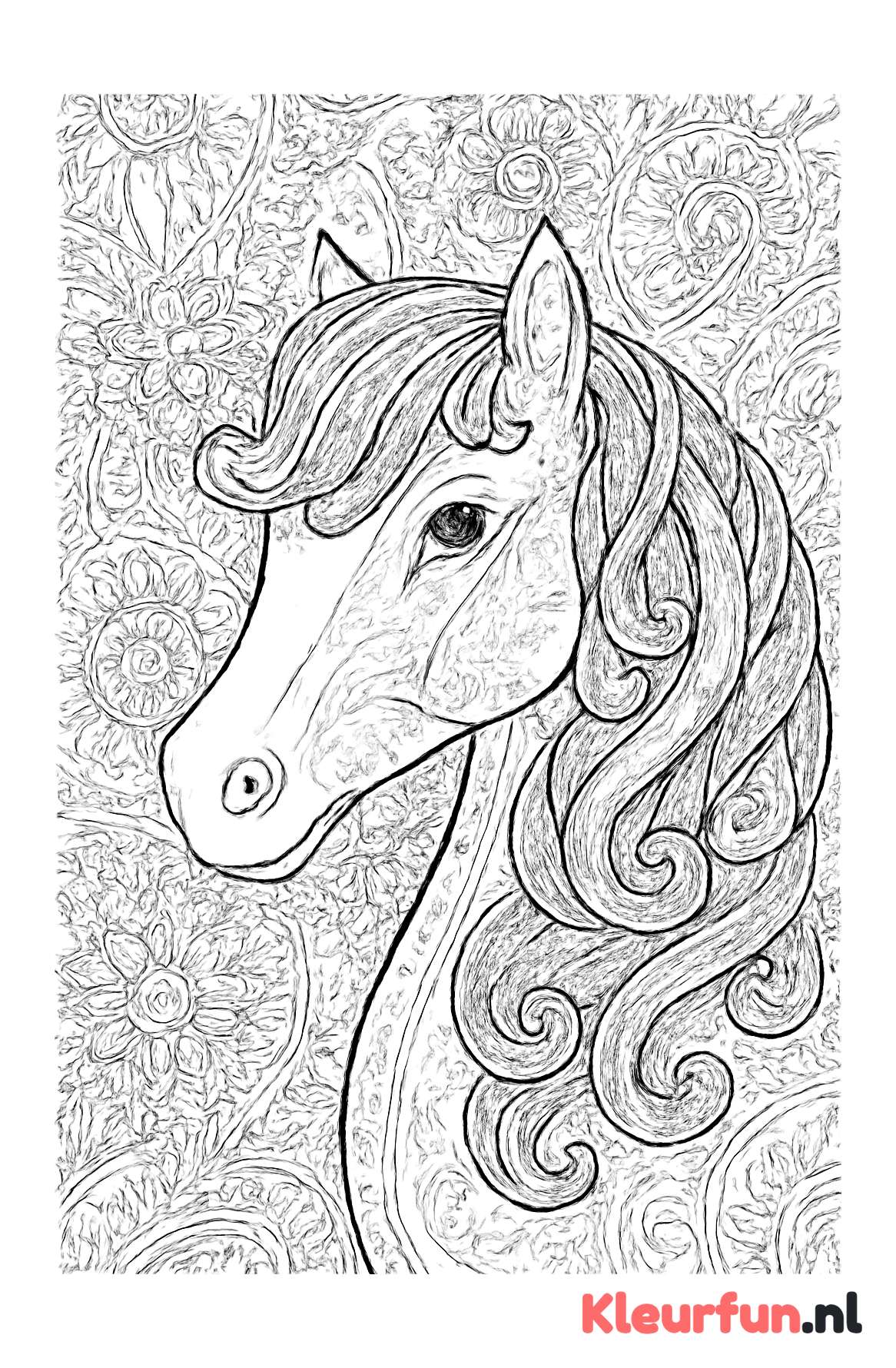 Elegante pony close-up