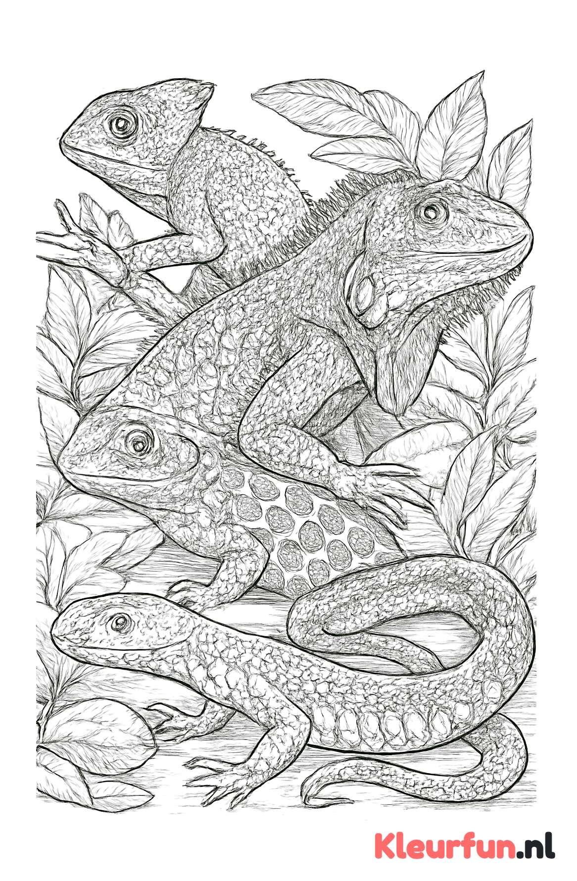 Exotische reptielen met fijne details