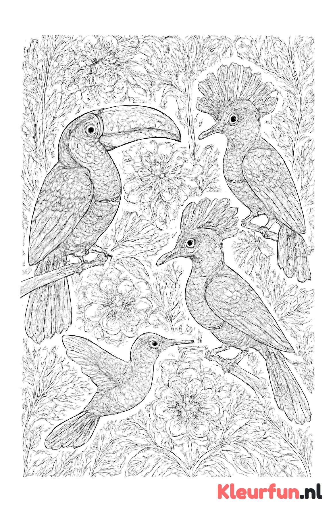 Exotische vogels in het bos
