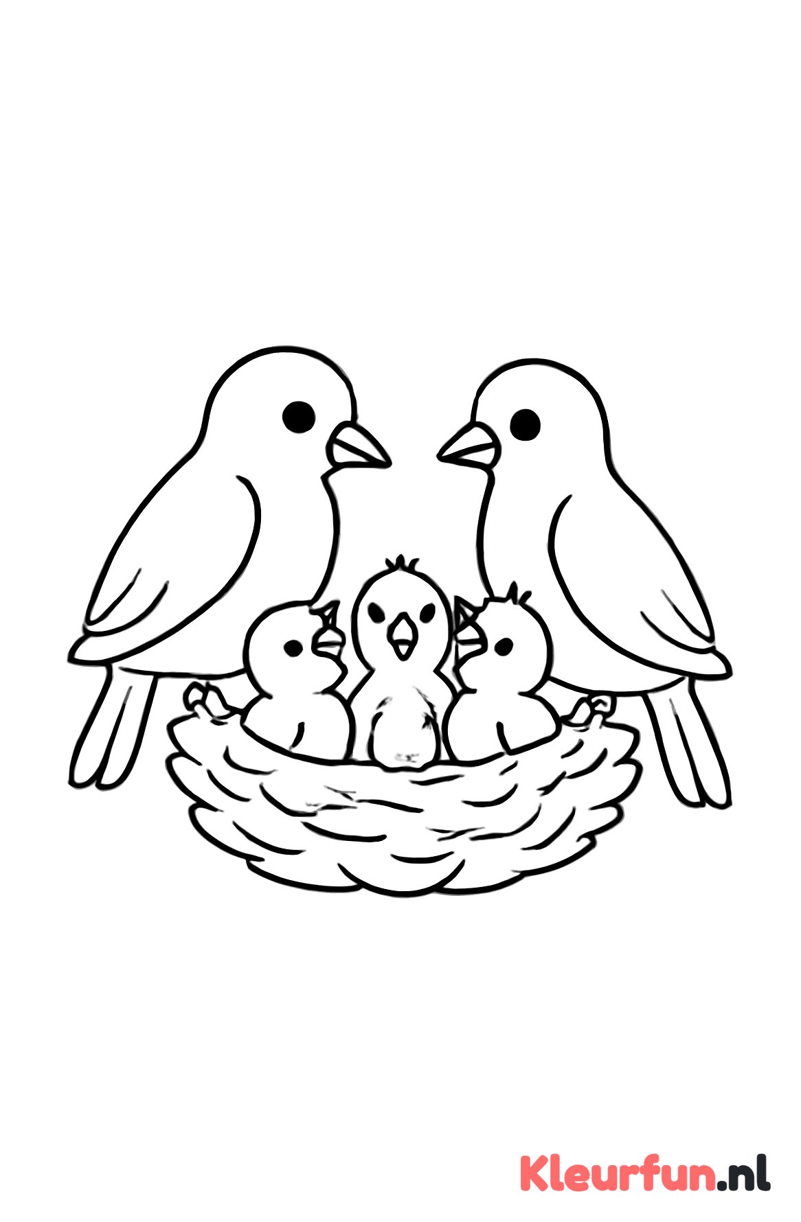 Familie vogels in nest