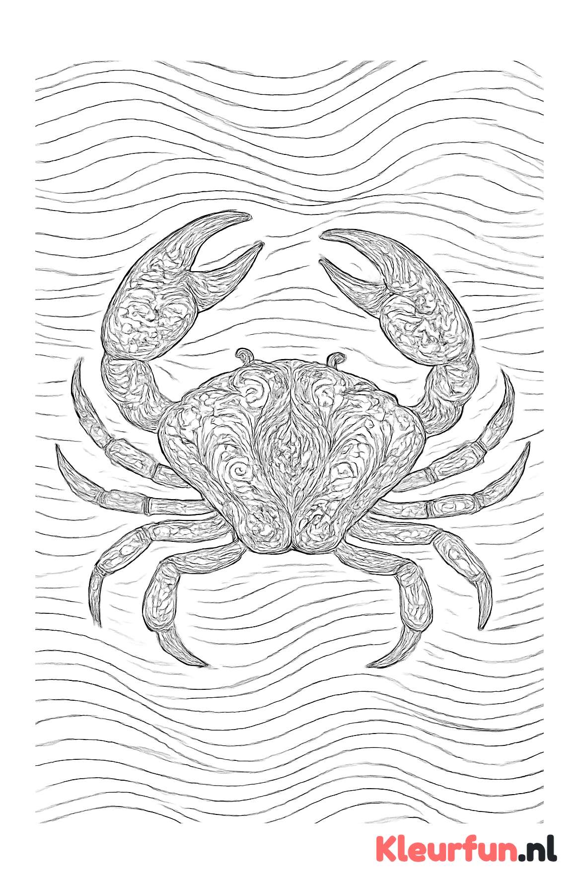 Filigrain krab