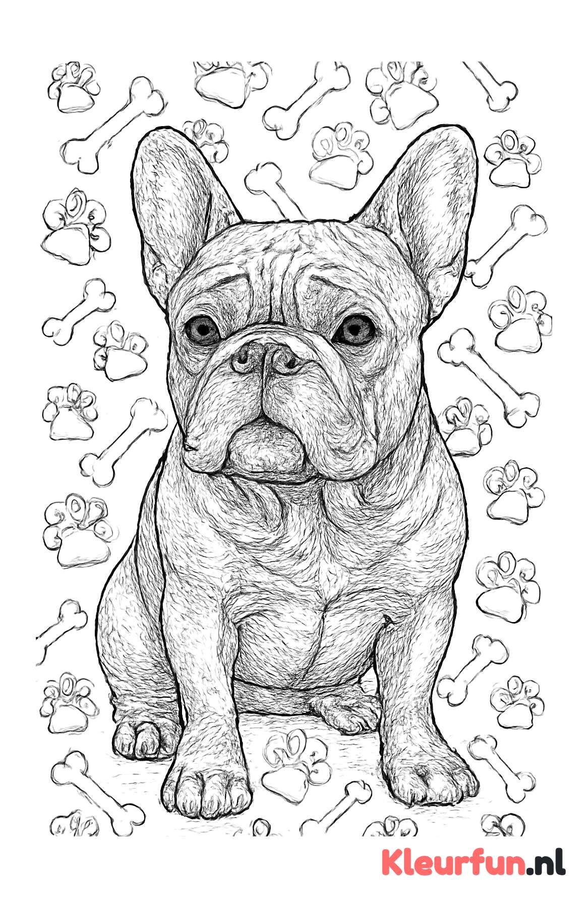 Franse Bulldog met Textuur