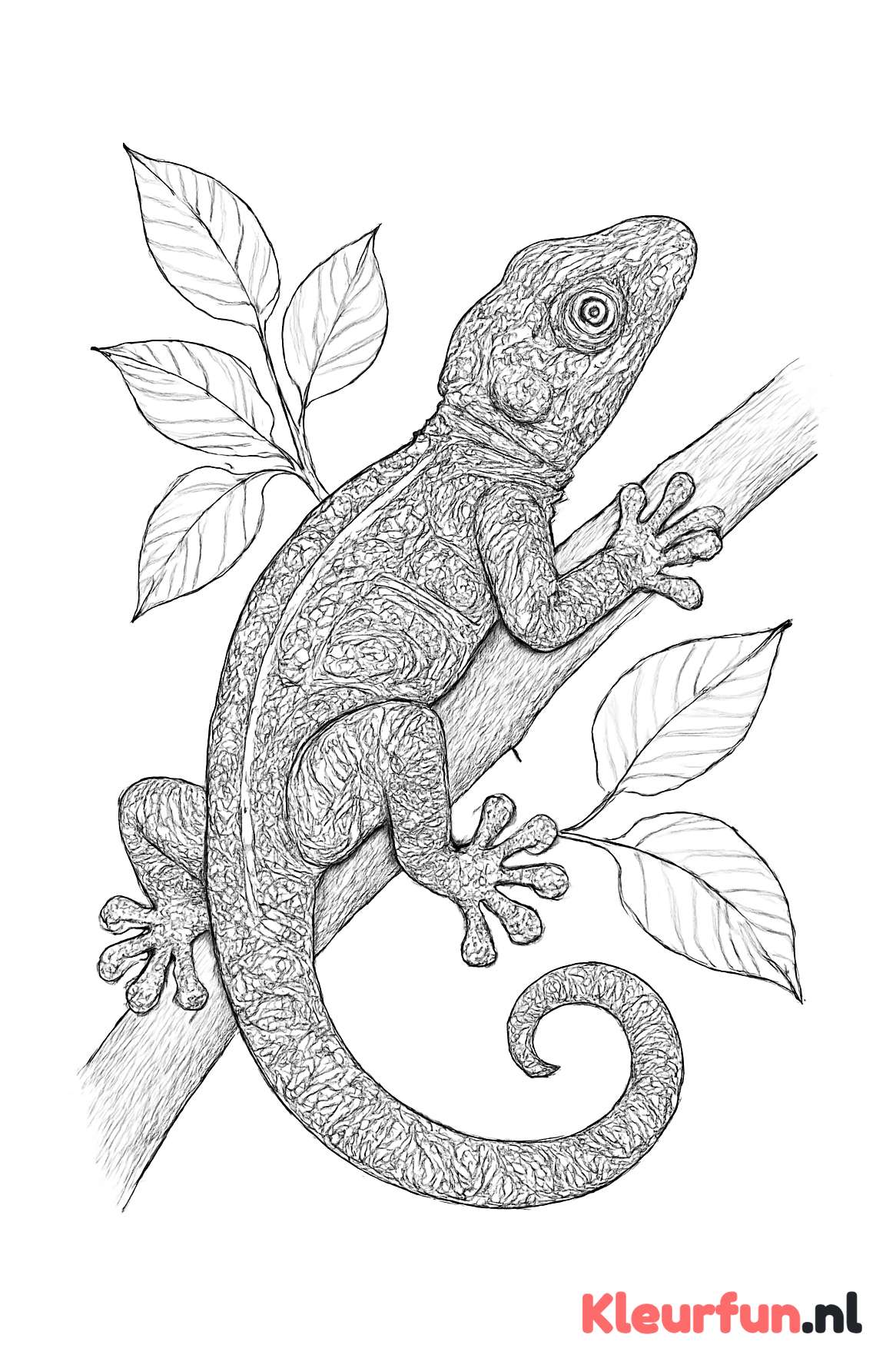 Gedetailleerde gekko op tak