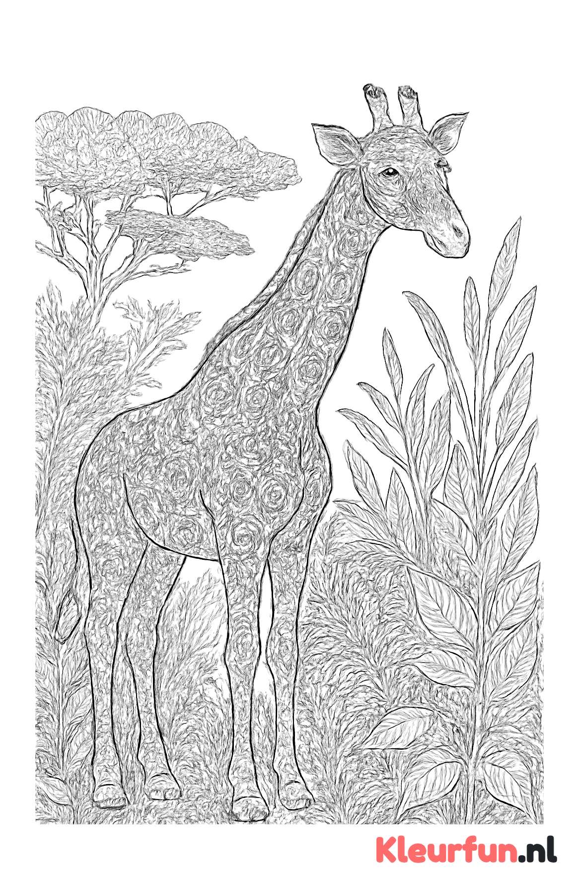 Gedetailleerde giraffe in de savanne