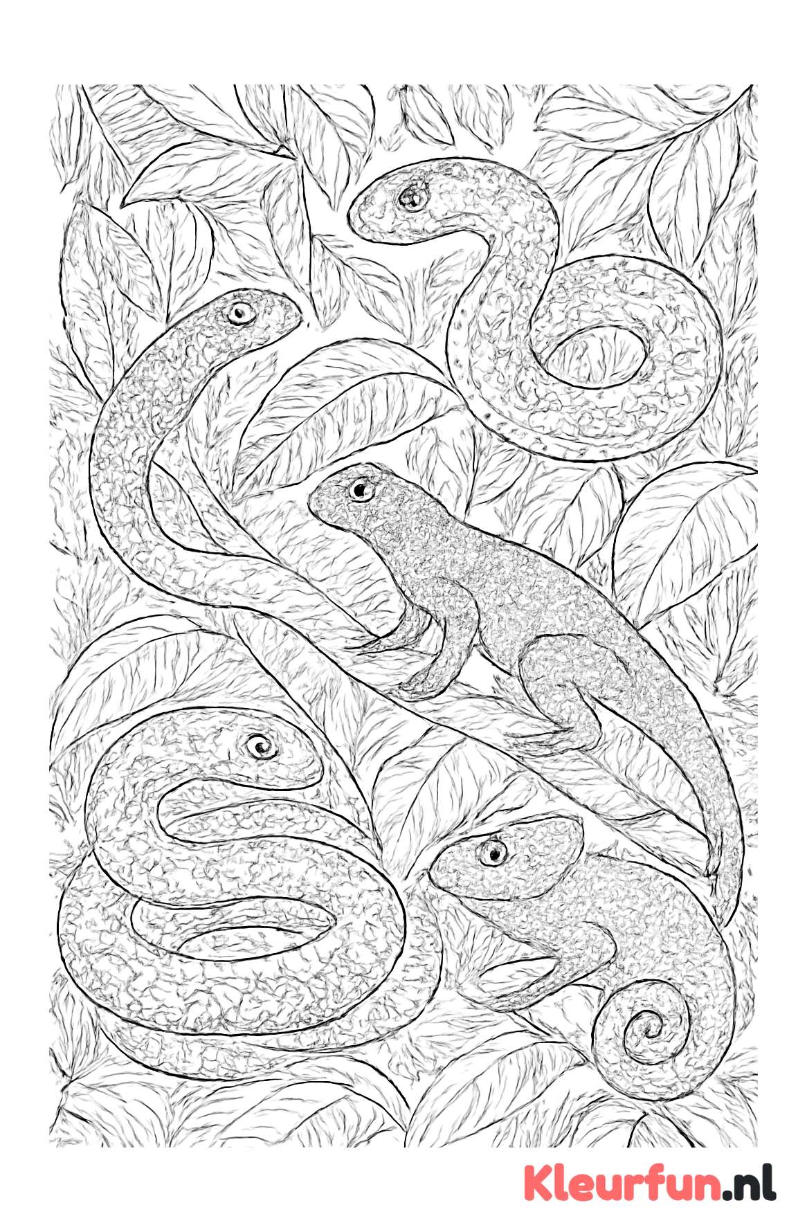 Gedetailleerde slangen en reptielen in jungle