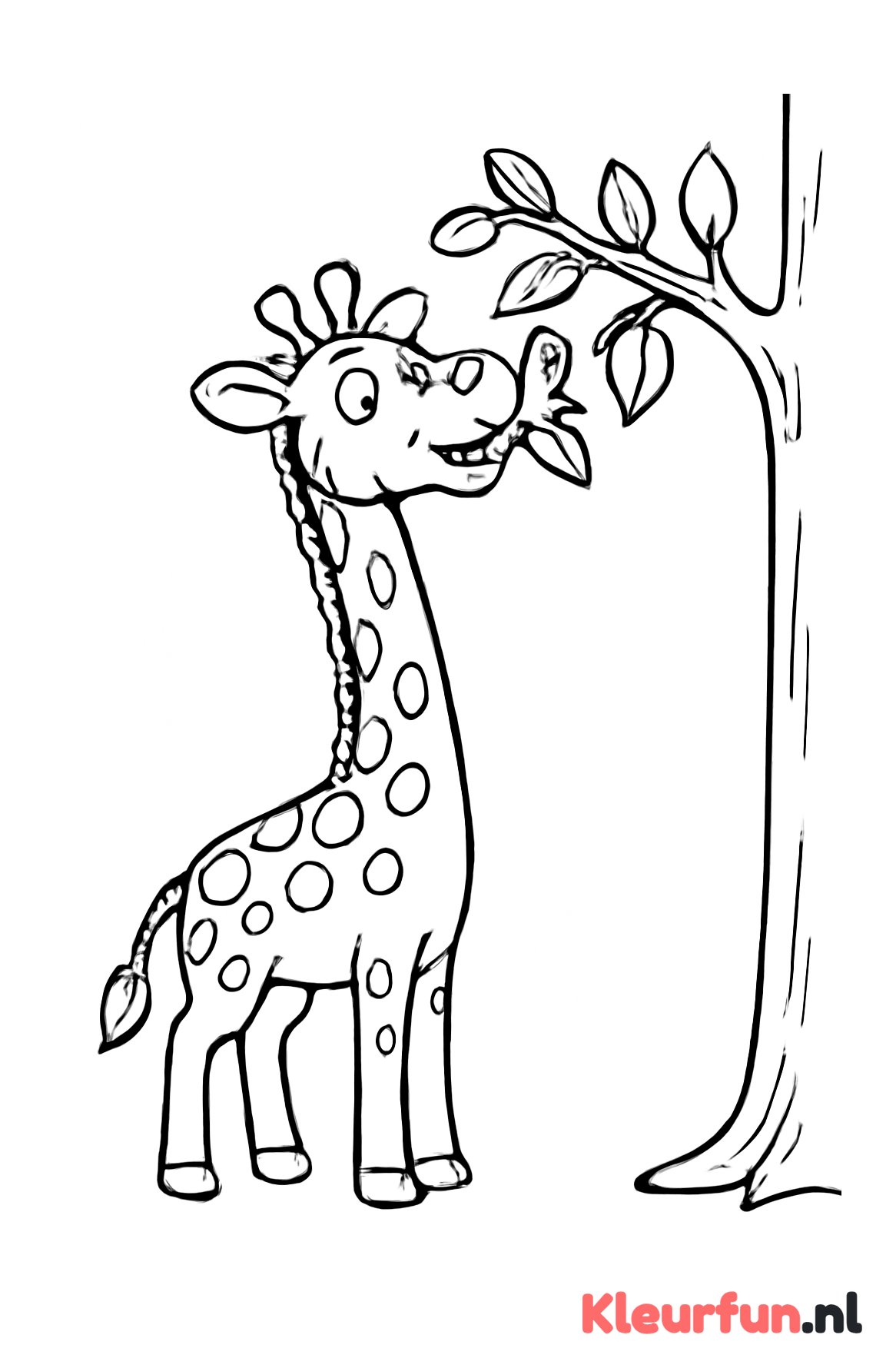 Giraffe die blaadjes eet