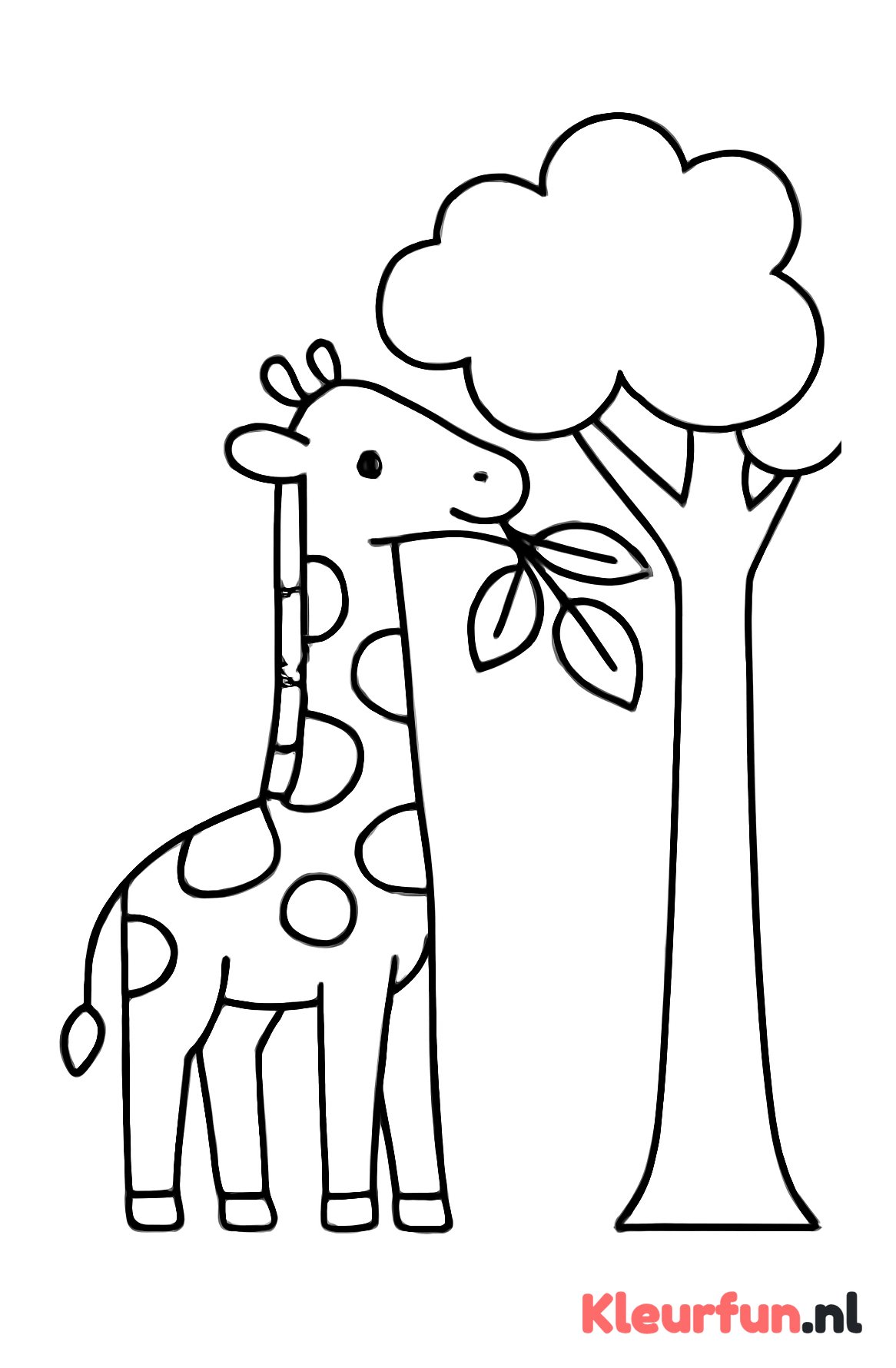 Giraffe eet bladeren