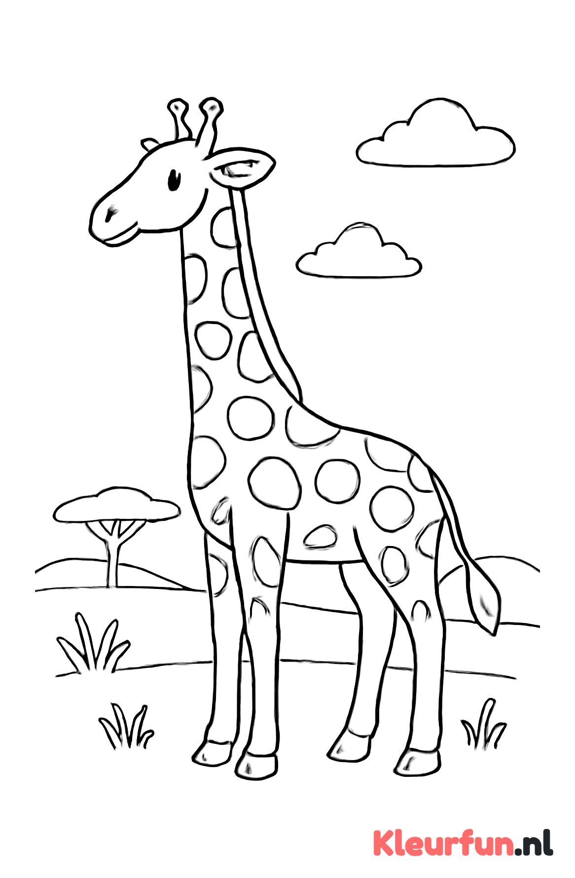 Staande giraffe in de savanne