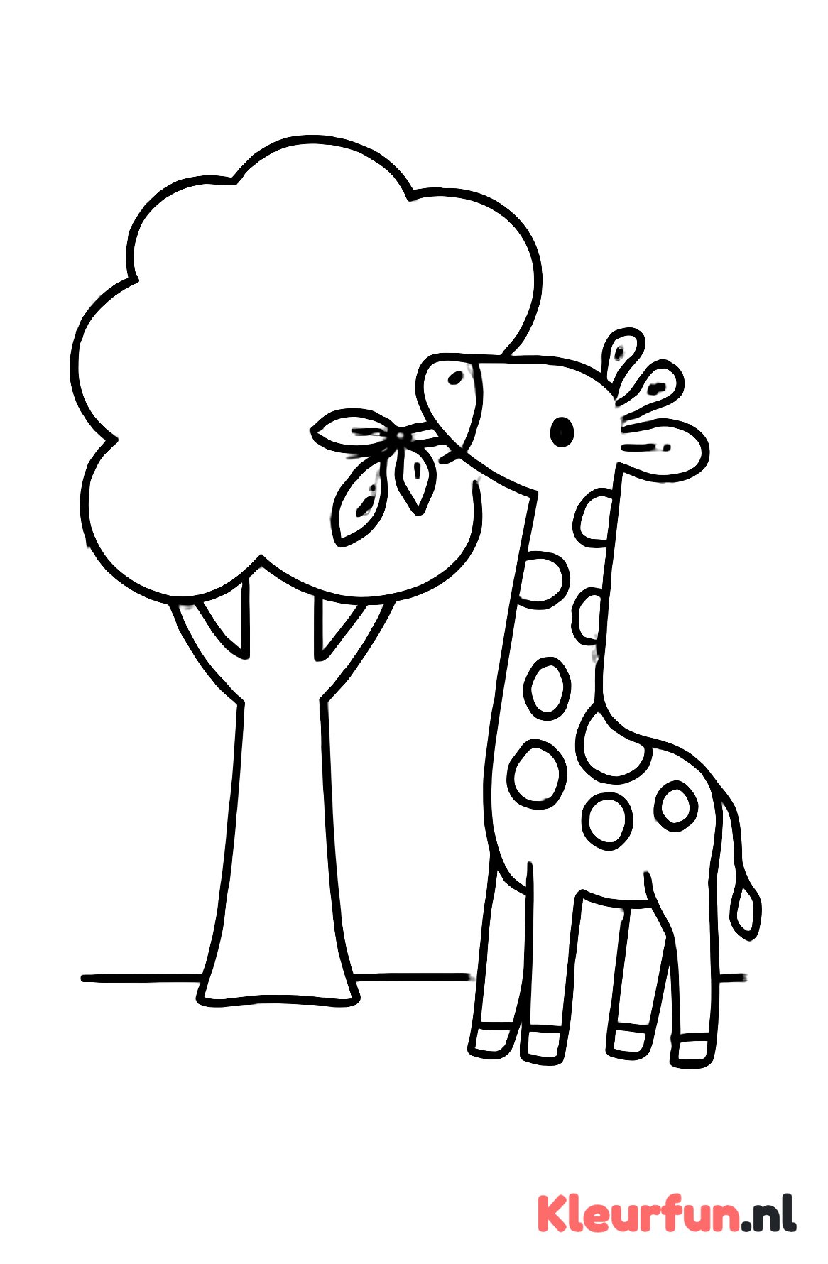 Giraffe eet bladeren