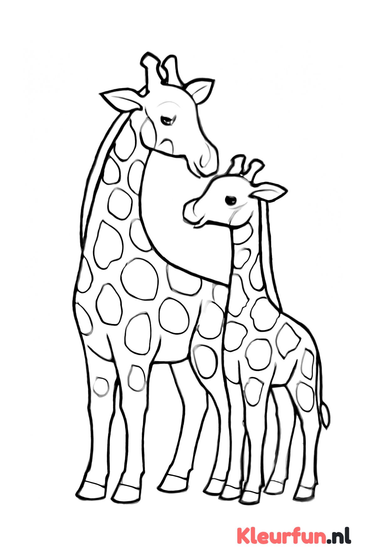 Giraffe moeder en jong